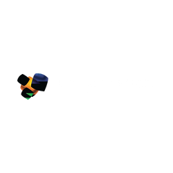 Dynamic Netsoft Technologies