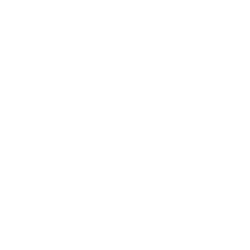 Merali's Chartered Accountants & Registered Auditors