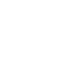 250x250_Red Sea Global