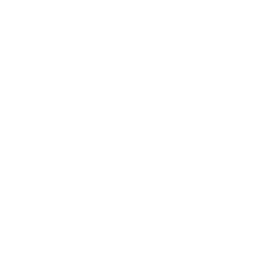 BIM Ventures